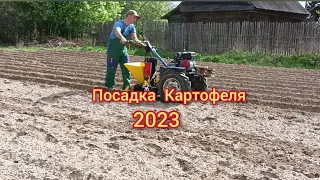 Посадка картофеля мотоблоком с картофелесажалкой.