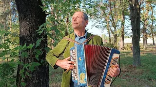 Знову цвітуть каштани Київський вальс на баяні