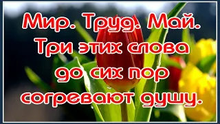 С Праздником 1 МАЯ🥰С Праздником ВЕСНЫ # МИР#ТРУД# МАЙ# НОСТАЛЬГИЯ# Музыкальная открытка с Первомаем