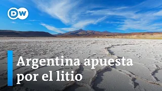 "Sin minerales no hay transición energética posible": Secretaria argentina de Minería