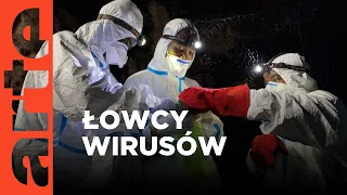 Czy naukowcy powstrzymają kolejną epidemię? | ARTE.tv Dokumenty [CAŁY FILM LEKTOR PL]