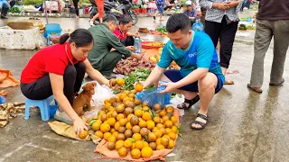 Harvesting Oranges goes to the market sell | Country life, Gardening | Tran Thi Huong