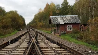 ✌ОДИНОКИЙ ПОЛУСТАНОК - Сергей Кривицкий✌