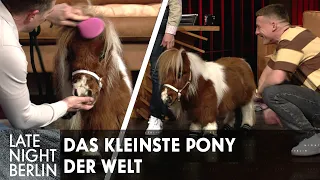 Das kleinste Pony der Welt überrascht Klaas & Felix Lobrecht im Studio | Late Night Berlin