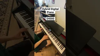 Kuyruklu Piyano ile oyuncak Piyano farkı | $45.000 Grand Piano to Free İPhone Piano