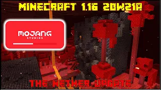 Minecraft 1.16 - Snapshot 20w21a - Waiting For The Snapshot To Release!