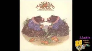 Matching Mole "Signed Curtain"