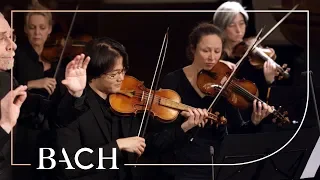 Bach - Cantata Schwingt freudig euch empor BWV 36 - Van Veldhoven | Netherlands Bach Society