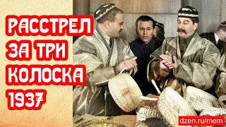 Расстрельное дело за три колоска от 1937 года