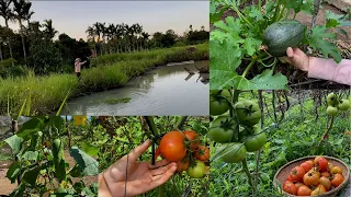 How I take care of my vegetable garden | Garden tour