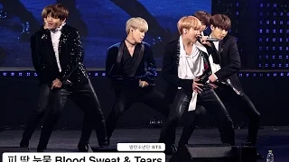 방탄소년단 BTS[4K직캠]피 땀 눈물 Blood Sweat & Tears 논산@161222 Rock Music