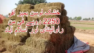 chohan goat farm Rawalpindi 03220966288