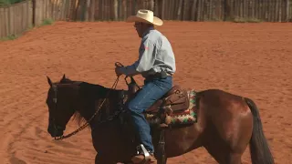 Todd Crawford  How to Keep Your Horse Soft In The Face