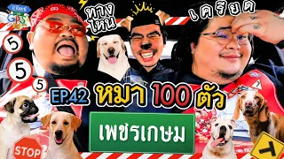 ภารกิจตามหาหมา 100 ตัวกับ 'ป๊อบ-โอ่ง' | ถ้าโลกนี้ไม่มี GPS Ep.42