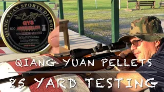 Qiang Yuan QYS 8.18 gr pellets testing with Feinwerkbau 124 and Diana 48 at 25 yards