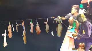 How To Longline Fishing Squid By Hand - Unbelievable Hundreds of Squid Were Caught on The Boat