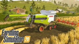 HARVESTING, PLANTING, SELLING SOYBEAN | Farming Simulator 20 | fs 20 | Timelapse