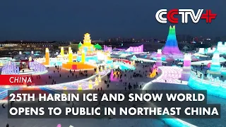 25th Harbin Ice and Snow World Opens to Public in Northeast China