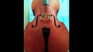 Custom 5 string DOUBLE-BASS, model "Xavier Padilla" - by Kremona ( sound sample 2 )