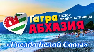 ГДЕ ОТДОХНУТЬ В ГАГРАХ? АБХАЗИЯ / ГАГРА / обзор мини-гостиницы «Гнездо Белой Совы»