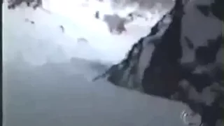 Yeti filmed in Himalaya