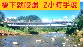 路邊橋下就咬爆 2小時手痠 全是大物 #三峽橫溪海山橋