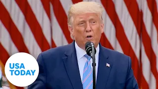 Trump announces plan to distribute 150 million rapid COVID-19 tests in coming weeks | USA TODAY