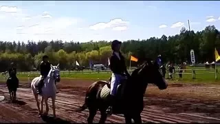 Чемпионат Костромской области по конному спорту 2016