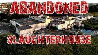 Abandoned Abattoir Scotland Slaughterhouse urban exploration