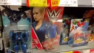 June 2016 - Mega Quick WWE Mattel Toy Hunt