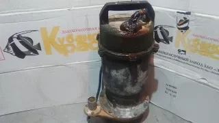 Дренажный насос гудит но не качает.the drain pump hums but doesn't pump.