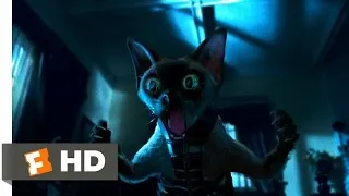 Cats & Dogs (3/10) Movie CLIP - Ninja Cats (2001) HD