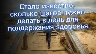 Стало известно, сколько шагов нужно делать в день для поддержания здоровья