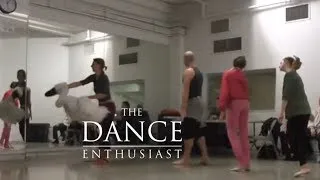 New York Dance Up Close: Allegra Kent's  "Ballerina Swan" -Meet Sophie Swan!