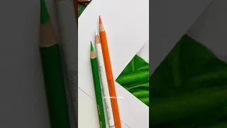 Independence Day Art 🇮🇳 🕊️ | #vandematram #tricolor #colourepencil