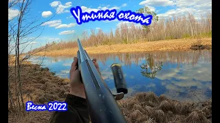 Весна 2022. Утиная охота!