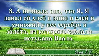 ВидеоБиблия Книга пророка Осии глава 2 с музыкой Бондаренко