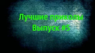 Лучшие приколы 2016 ноябрь Выпуск #5