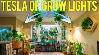 THESE Are The Best Grow Lights for Indoor Plants Made in America!