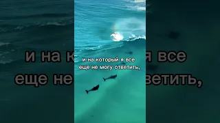 Чего хочет женщина? #жизнь #психология #море #женщина