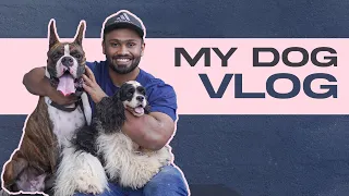 My Dog Vlog | Vijay Viruz