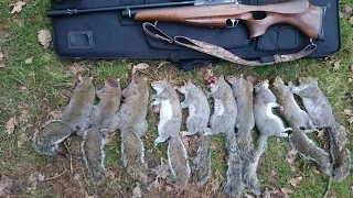 Pest Control with Air Rifles - Squirrel Shooting - Bro and Bruv
