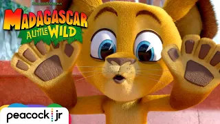 MADAGASCAR A LITTLE WILD | Season 1 Trailer