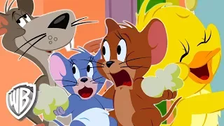 Tom et Jerry en Français | Jerry et Ses Amis | WB Kids