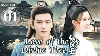 MUTLISUB【 Love of the Divine Tree/仙台风云】 01 💋傲娇王爷不近女色，直到遇上美貌的郡主，傲娇王爷一时爽，谁知追妻路慢慢，做我的女人，是唯一的选择💐#赵露思#黄宥明