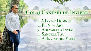 Biji din Barbulesti - COLAJ CANTARI [ 2022 ]