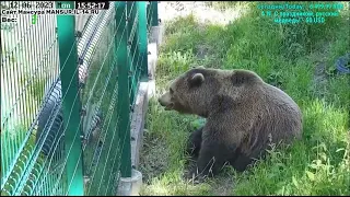 12.06.2023    14:47     День Мансура с папой. Смотрит, наблюдает за всем