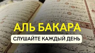 Сура Аль-Бакара включайте в ваших домах каждый день