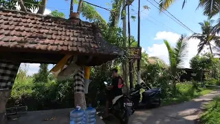 [4K] Bali, Ubud, Relaxing Walking tour - Бали, Убуд, Пешеходная прогулка, 4k #бали