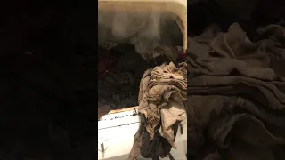 Clothes dryer caught on fire in apartment laundry room! #shorts